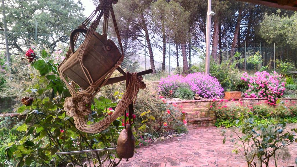 C'Era Una Volta B&B เปรูจา ภายนอก รูปภาพ